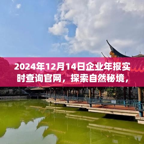探索自然秘境，啟程尋找內(nèi)心寧靜與平和，企業(yè)年報實時查詢官網(wǎng)，開啟您的2024年報查詢之旅