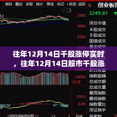 張燈結(jié)彩 第5頁(yè)