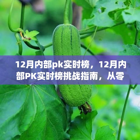 從零起步到高手的進(jìn)階之路，12月內(nèi)部PK實(shí)時(shí)榜挑戰(zhàn)指南