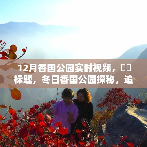 冬日香國公園實(shí)時探秘，追尋自然魔法與內(nèi)心寧靜的旅程
