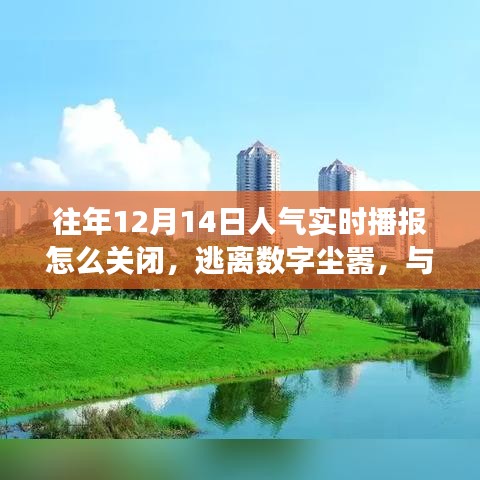 如何關(guān)閉人氣實(shí)時播報(bào)，尋找自然美景之旅，逃離數(shù)字塵囂的指南