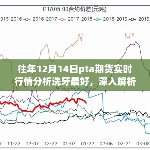 往年12月14日PTA期貨實(shí)時行情深度解析與洗牙產(chǎn)品體驗(yàn)報(bào)告