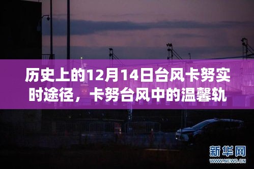 卡努臺風(fēng)中的溫情軌跡，友情與陪伴的故事，歷史記錄下的溫馨瞬間