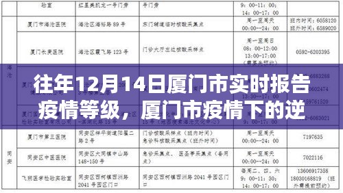 廈門市疫情逆襲之路，學(xué)習(xí)之光照亮前行之路的實時報告