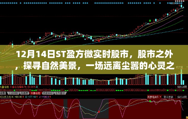 ST盈方微股市輕語，探尋自然美景的心靈之旅，啟程于股市之外