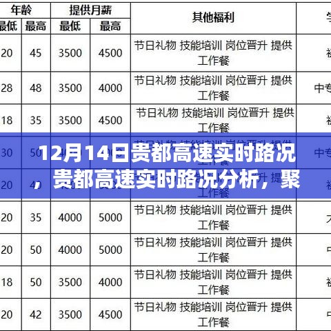 貴都高速實時路況聚焦，12月14日路況分析與各方觀點