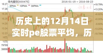 探尋PE股票背后的自然秘境之旅，歷史上的12月14日實時平均數(shù)據(jù)解析