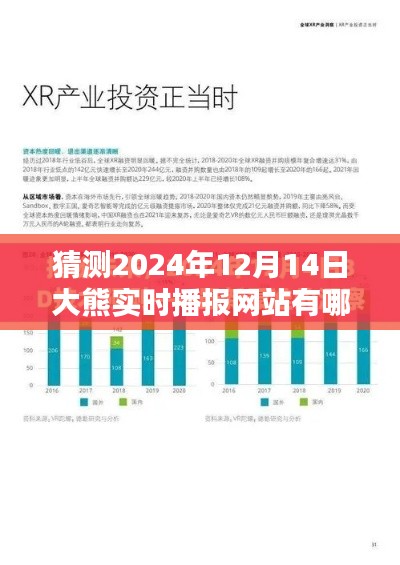 預(yù)測(cè)未來(lái)，探索大熊實(shí)時(shí)播報(bào)網(wǎng)站在2024年12月14日的形態(tài)
