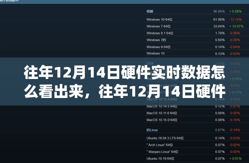 往年12月14日硬件實時數(shù)據(jù)深度解析，特性、體驗、競品對比與用戶洞察評測報告