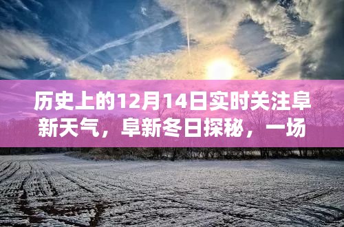 阜新冬日探秘，實(shí)時(shí)天氣關(guān)注與自然的邂逅之旅，尋找內(nèi)心寧?kù)o的冬日體驗(yàn)