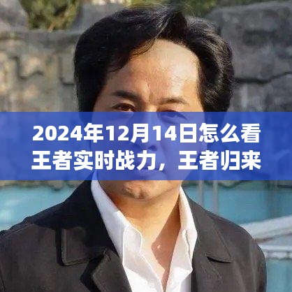 王者歸來，探尋自然美景之旅與解鎖內(nèi)心平靜之力，實(shí)時(shí)戰(zhàn)力指南（2024年12月14日）
