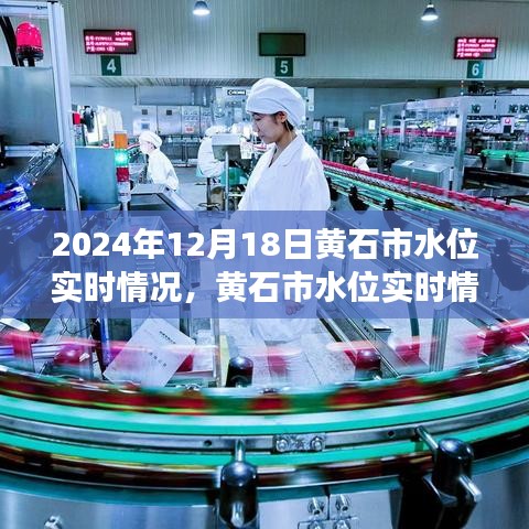 黃石市水位實(shí)時(shí)觀察與分析報(bào)告，聚焦黃石市水位實(shí)時(shí)情況觀察與觀點(diǎn)（2024年12月18日）