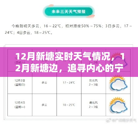12月新塘實時天氣探索，追尋內(nèi)心的寧靜與自然微笑