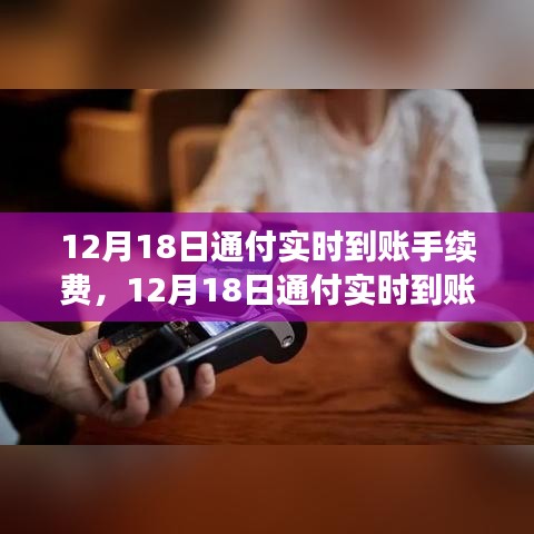12月18日通付實時到賬手續(xù)費調(diào)整解析，新政策費用標準及其影響