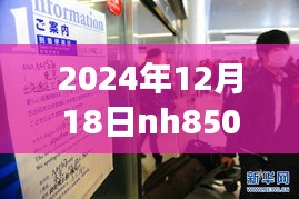 探秘隱藏美食與NH航班背后的故事，NH航班實時動態(tài)與小巷深處的獨特魅力