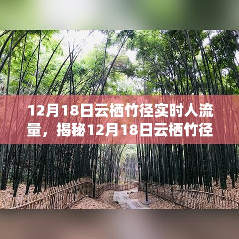 揭秘，云棲竹徑在12月18日的實(shí)時(shí)人流量深度解析與洞察報(bào)告