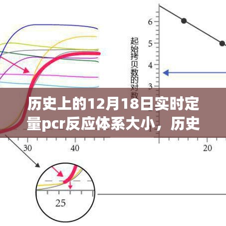 探討歷史上的實(shí)時(shí)定量PCR反應(yīng)體系大小演變及其影響在十二月十八日的研究歷程