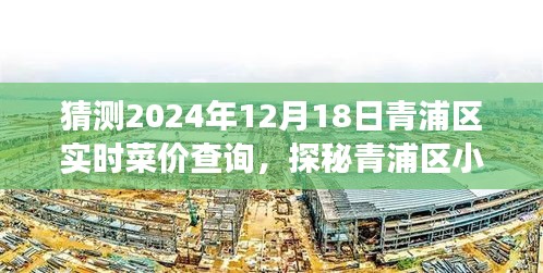 探秘青浦區(qū)菜價秘境，2024年12月18日菜價預(yù)測與實時查詢之旅