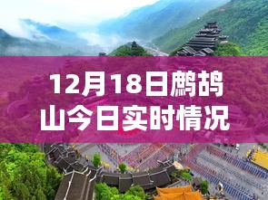 鷓鴣山今日實(shí)時(shí)情況，特色小店帶你領(lǐng)略別樣冬日風(fēng)情，驚喜藏于深山之中