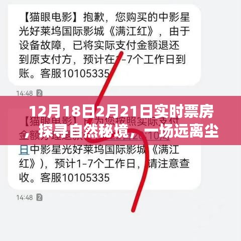 探尋自然秘境的心靈之旅，揭秘實(shí)時(shí)票房熱議背后的故事