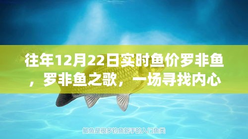 羅非魚之歌，探尋深海魚價(jià)與內(nèi)心平靜的旅程