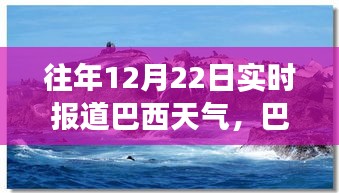 巴西暖陽下的溫馨時光，12月22日天氣紀實
