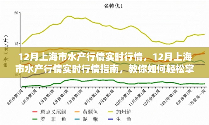 掌握上海水產(chǎn)市場脈搏，12月實(shí)時(shí)行情指南