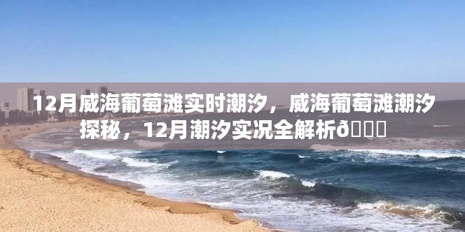 威海葡萄灘12月潮汐實(shí)況解析，潮汐探秘全攻略
