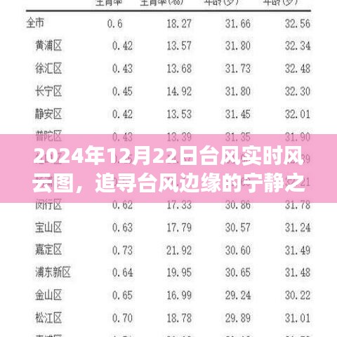 追尋臺風(fēng)邊緣的寧靜之旅，2024年臺風(fēng)風(fēng)云圖揭示的奇妙啟示