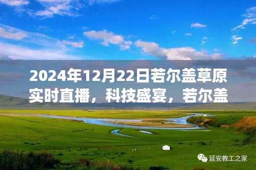 實時直播體驗
