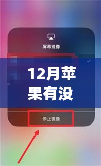 蘋(píng)果錄屏翻譯背后的暖心故事，科技魔法與冬日友情的傳遞