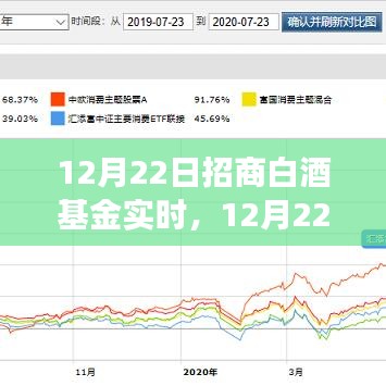 12月22日招商白酒基金實時走勢分析與投資洞察，洞悉白酒行業(yè)最新動態(tài)及投資機會