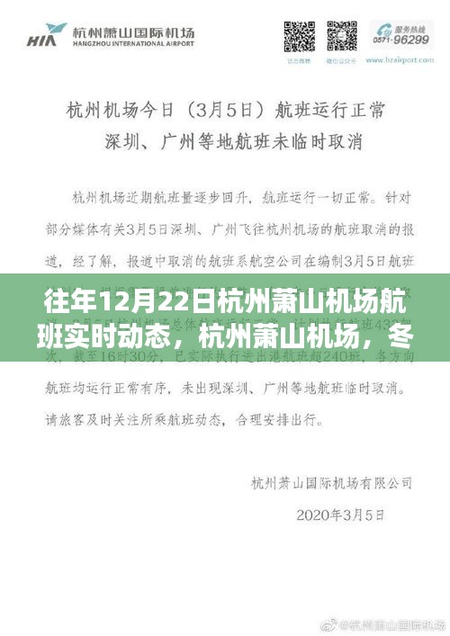 杭州蕭山機(jī)場冬至航班實時動態(tài)，舞動長空的翅膀