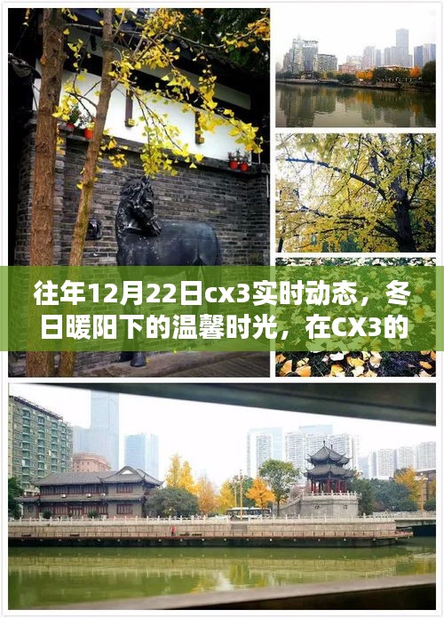 冬日暖陽下的CX3實時動態(tài)，找尋家的溫馨與愛的力量