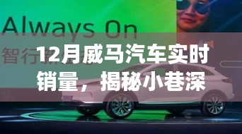 揭秘威馬汽車銷量背后的秘密故事，小巷深處的風(fēng)景與隱藏式特色小店，實時銷量分析十二月篇