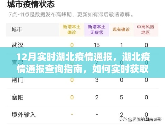 湖北疫情實時通報指南，初學(xué)者與進階用戶查詢指南及獲取最新通報信息的方法