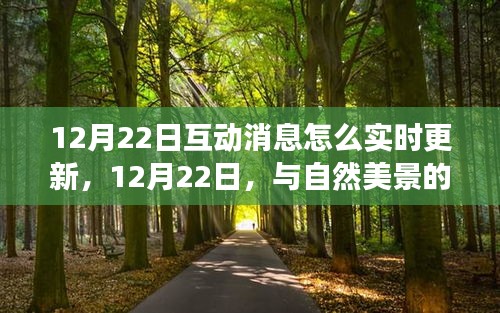 與自然美景的實時互動之旅，如何實時更新互動消息，追尋內(nèi)心的寧靜與平和在12月22日