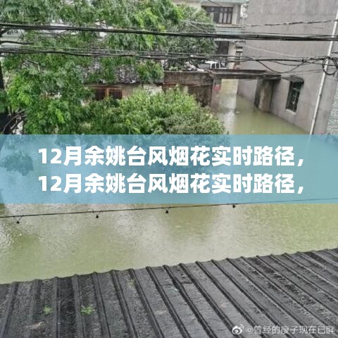 深度解析與前沿觀察，12月余姚臺風(fēng)煙花實(shí)時路徑追蹤