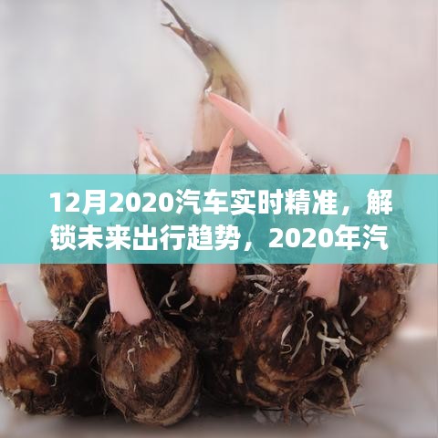 深度洞察與精準(zhǔn)預(yù)測，2020年汽車市場趨勢及未來出行展望