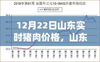 山東豬肉價(jià)格動(dòng)態(tài)，聚焦12月22日市場(chǎng)走勢(shì)分析