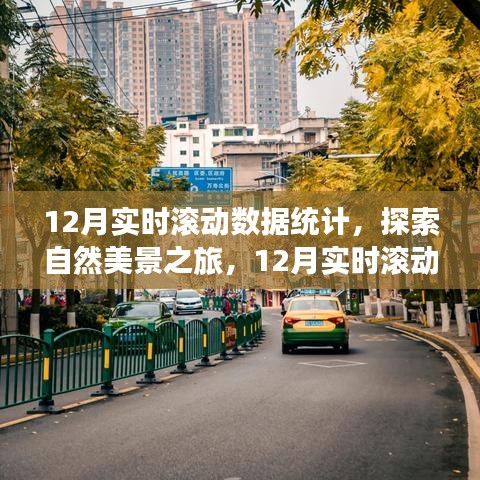 探索自然美景之旅，揭秘12月實(shí)時(shí)滾動數(shù)據(jù)統(tǒng)計(jì)背后的寧靜呼喚
