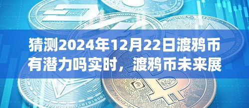 渡鴉幣未來(lái)展望，擁抱潛力，探索數(shù)字世界新紀(jì)元——至2024年12月22日的深度解析