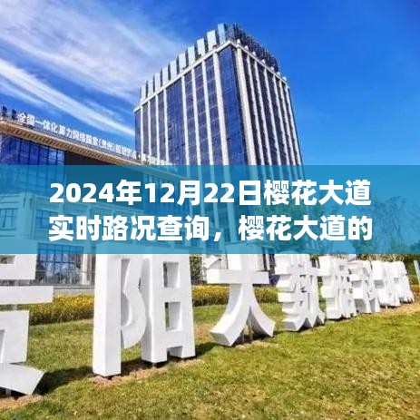 櫻花大道實時路況背后的暖心故事，奇妙的一天