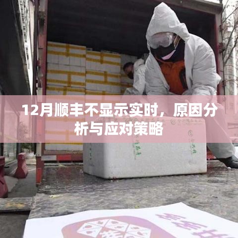 順豐快遞實(shí)時(shí)信息缺失，原因解析與應(yīng)對(duì)方案