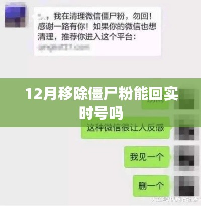 僵尸粉移除與實(shí)時(shí)號(hào)恢復(fù)，12月操作指南