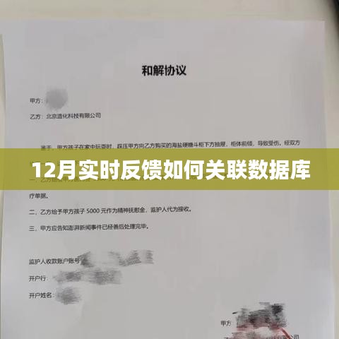 實(shí)時(shí)反饋與數(shù)據(jù)庫關(guān)聯(lián)之道，12月操作指南