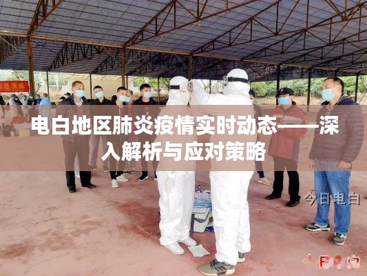 電白地區(qū)肺炎疫情最新動態(tài)，解析與應(yīng)對策略