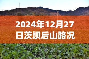 茨壩后山路況實(shí)時(shí)更新，查詢表及指南