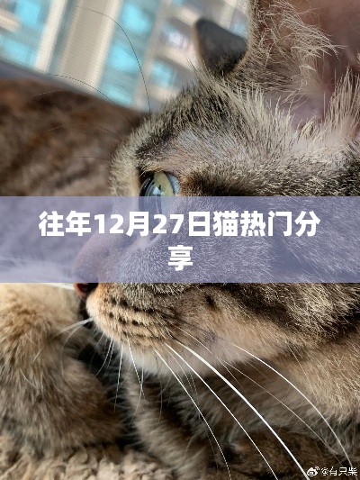 貓熱門分享回顧，歷年12月27日精彩瞬間