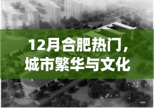合肥12月熱門活動，城市交響與文化繁榮
